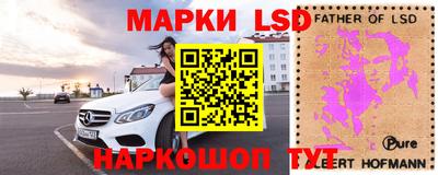 сатива Краснодар