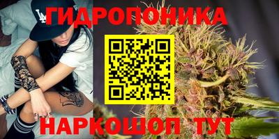 ГАЛЛЮЦИНОГЕННЫЕ ГРИБЫ Краснознаменск