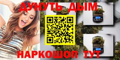 сатива Краснодар
