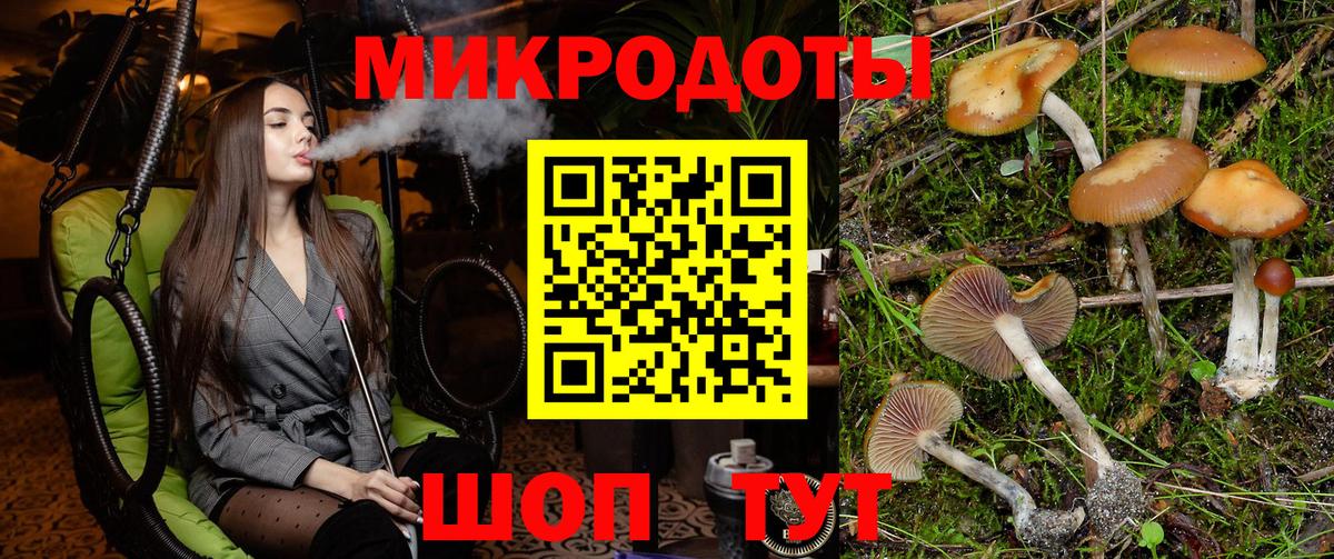 Галлюциногенные грибы Magic Shrooms Камышлов