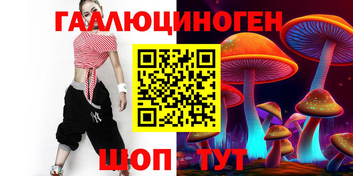 Гашиш Камышлов