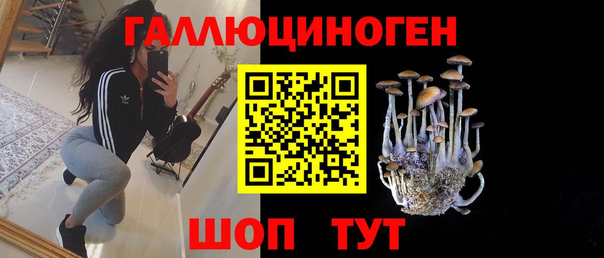 Псилоцибиновые грибы ЛСД  Псилоцибиновые грибы прущие грибы  Камышлов  Вход с VPN 